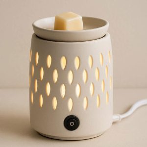 Modern Ceramic Wax Melt Warmer Electric Fragrance Burner for Scented Wax Cubes and Essential Oils Home Office Decor